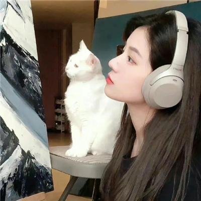 大河英雄传